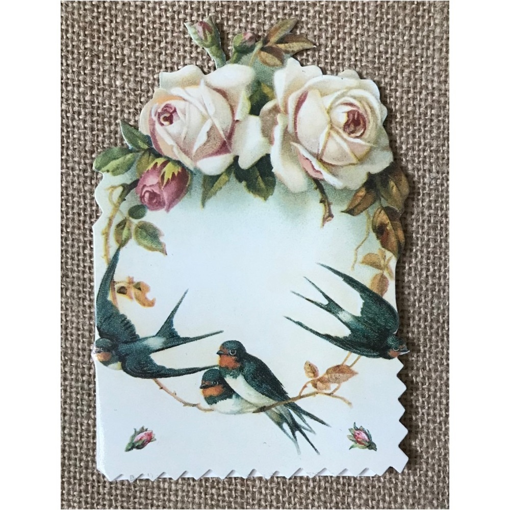 Brian Paterson Victorian Floral Blank Note Card Birds Roses Flowers Pretty
